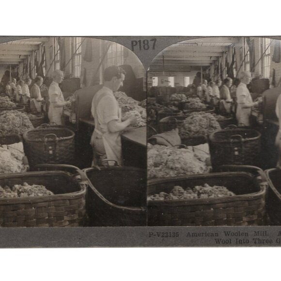 Vintage  Stereoview Card P187 American Woolen Mill Workers Sorting Raw Wool - Picture 1 of 2